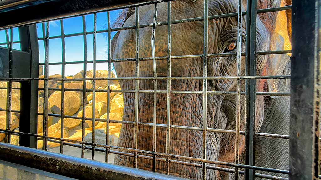 九州自然動物園