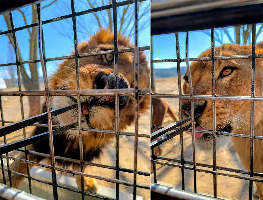 九州自然動物園