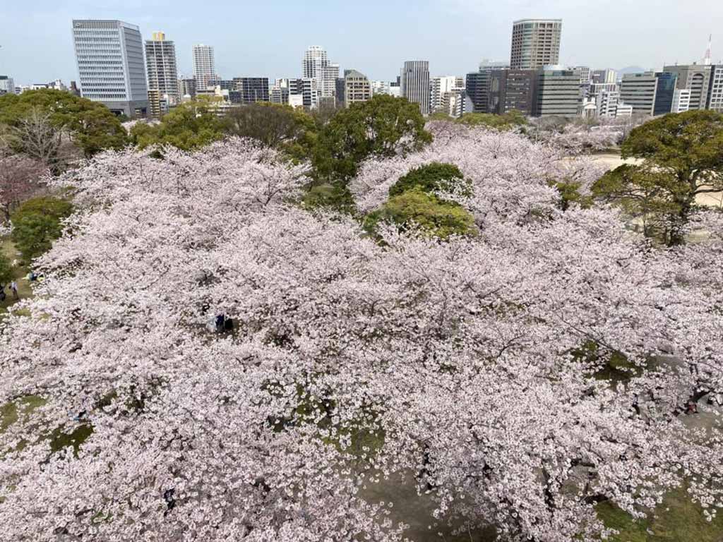 福岡景點
