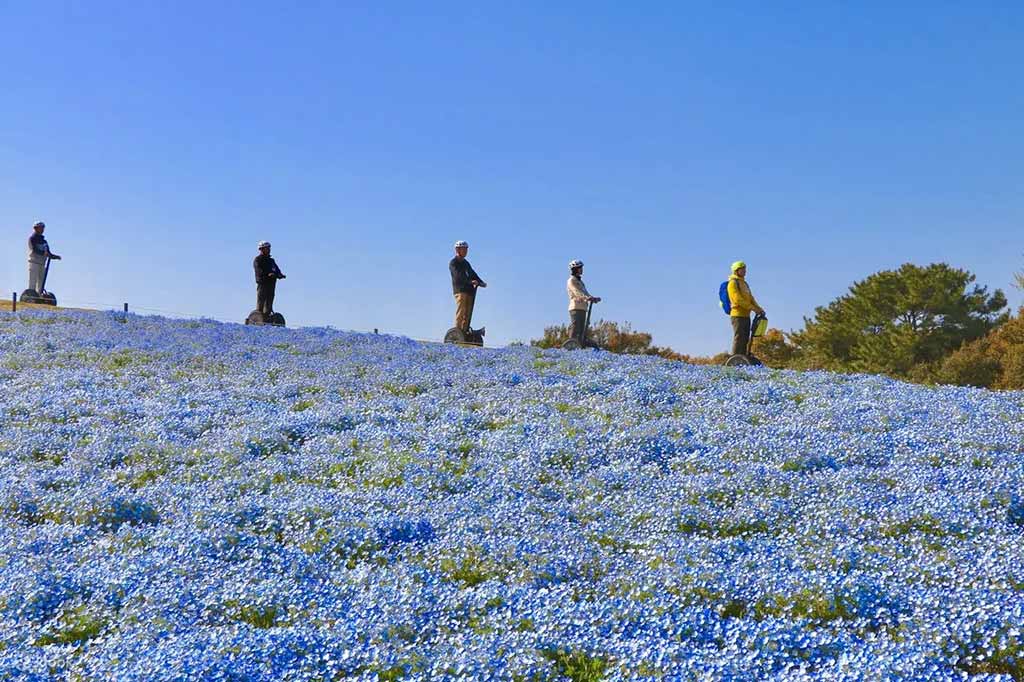 福岡景點