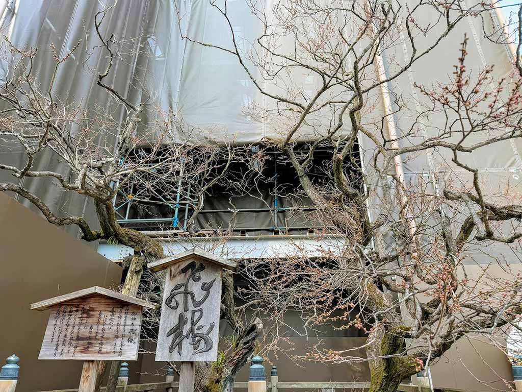 福岡景點