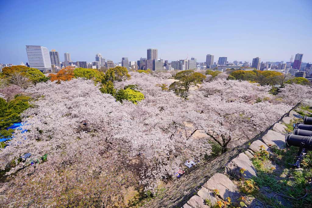 舞鶴公園