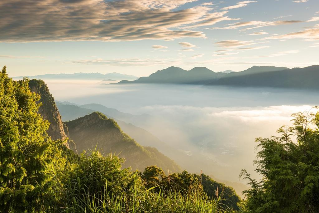alishan