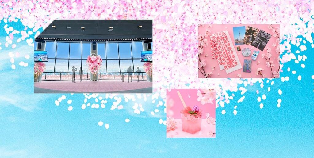 晴空塔櫻花
