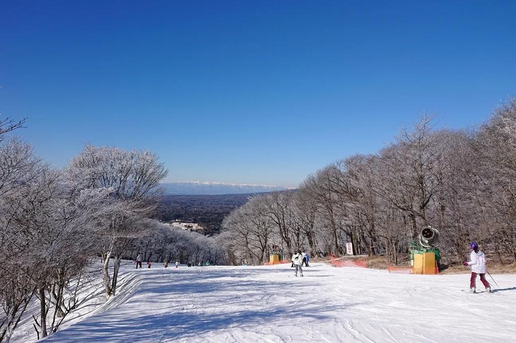 輕井澤王子飯店滑雪場