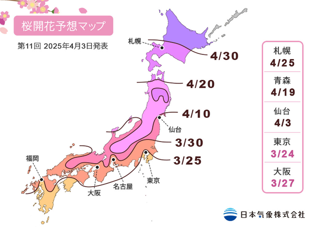 京都櫻花