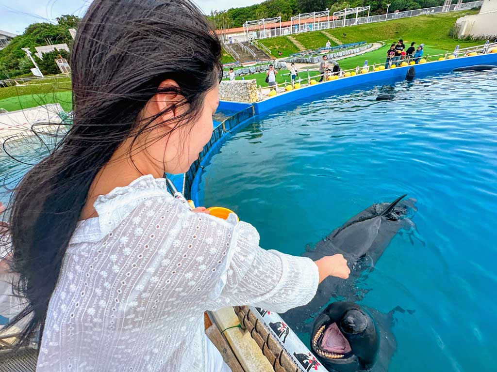 沖繩美麗海水族館