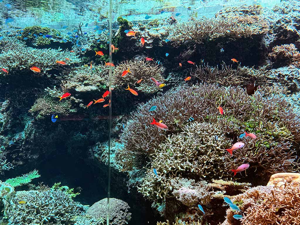 美麗海水族館