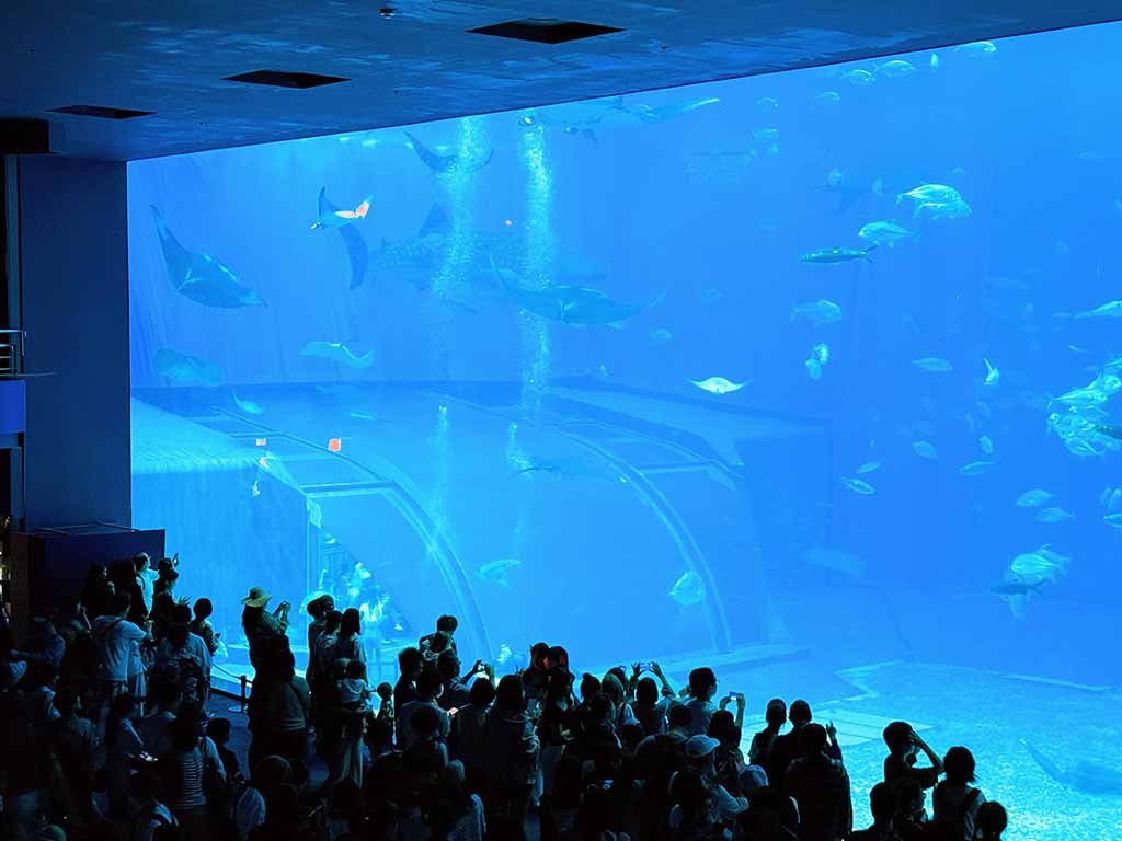 美麗海水族館