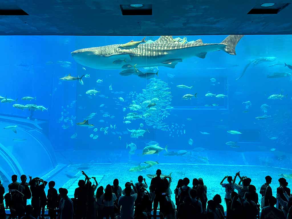 美麗海水族館