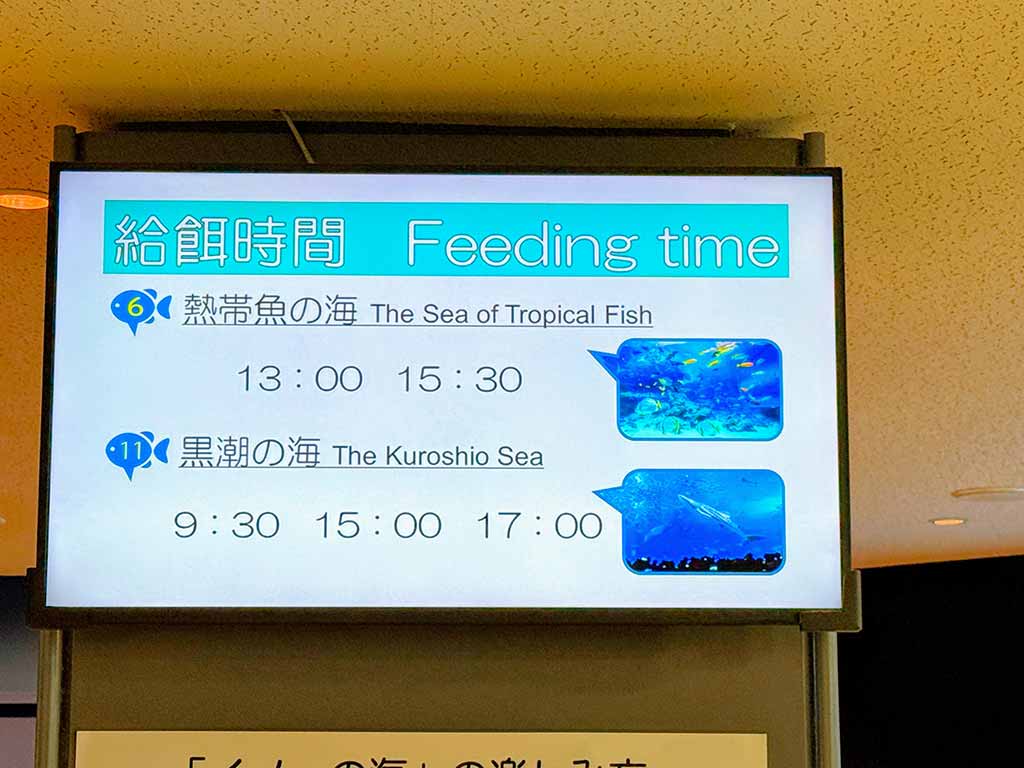 美麗海水族館
