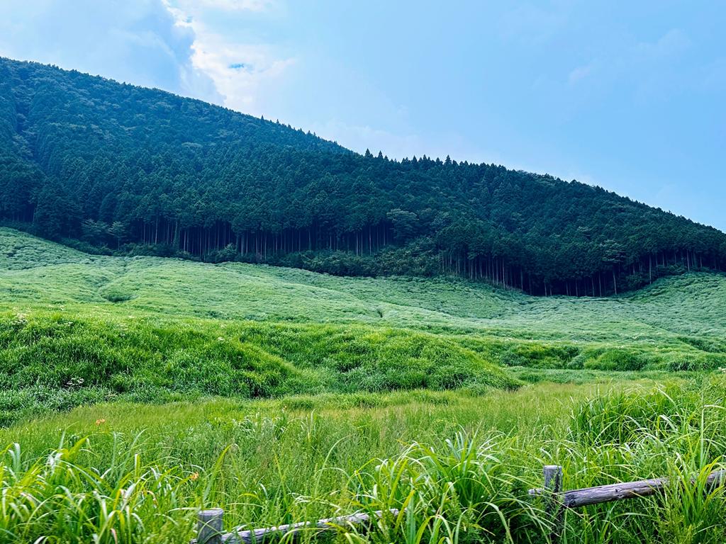 箱根景點