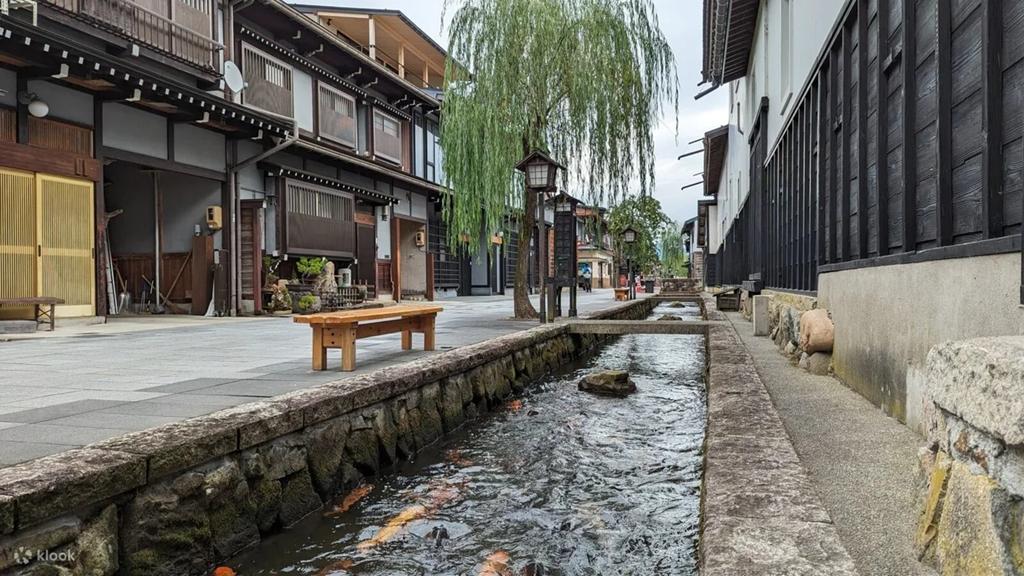 高山景點