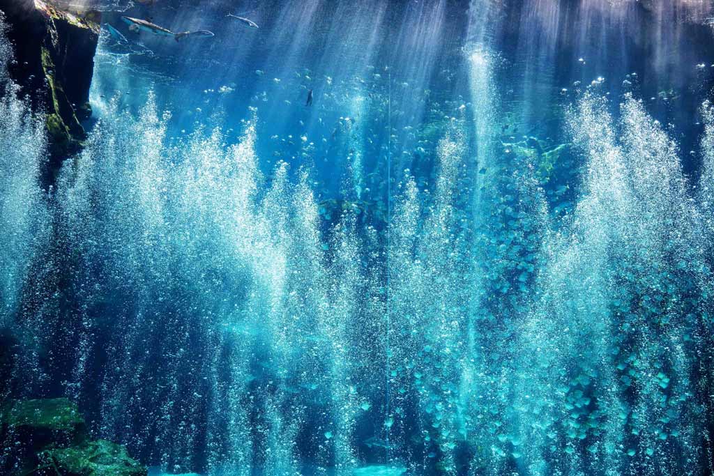 Xpark-meets-NAKED～Ocean-of-Light-潛浸海洋～