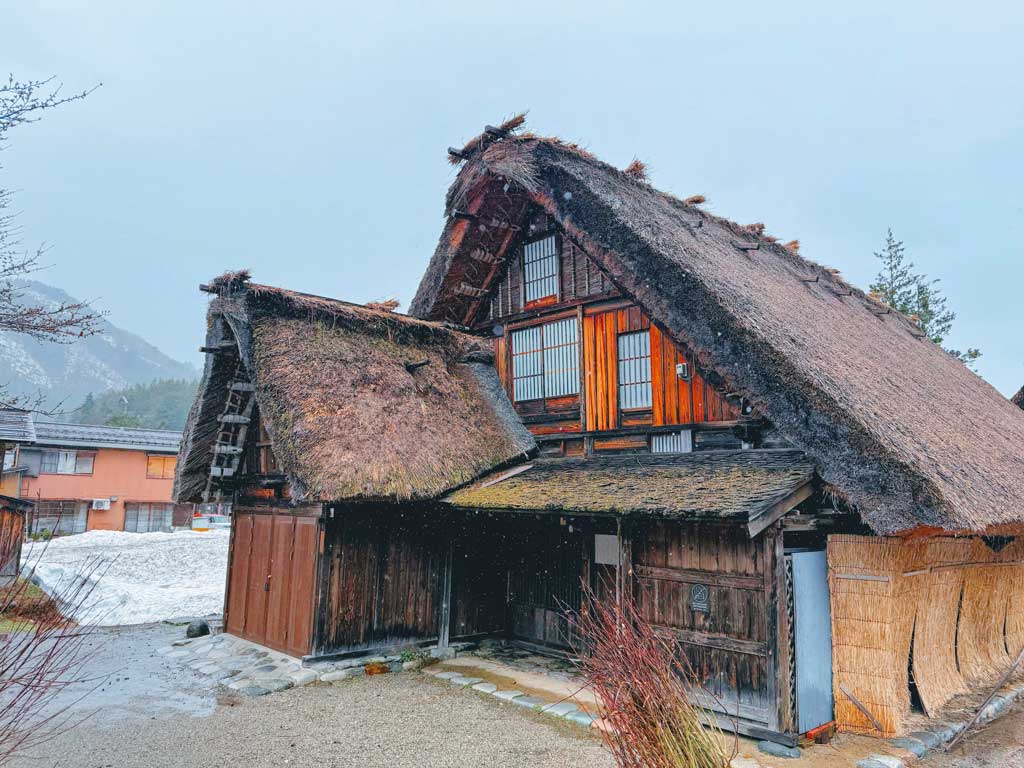 和田家