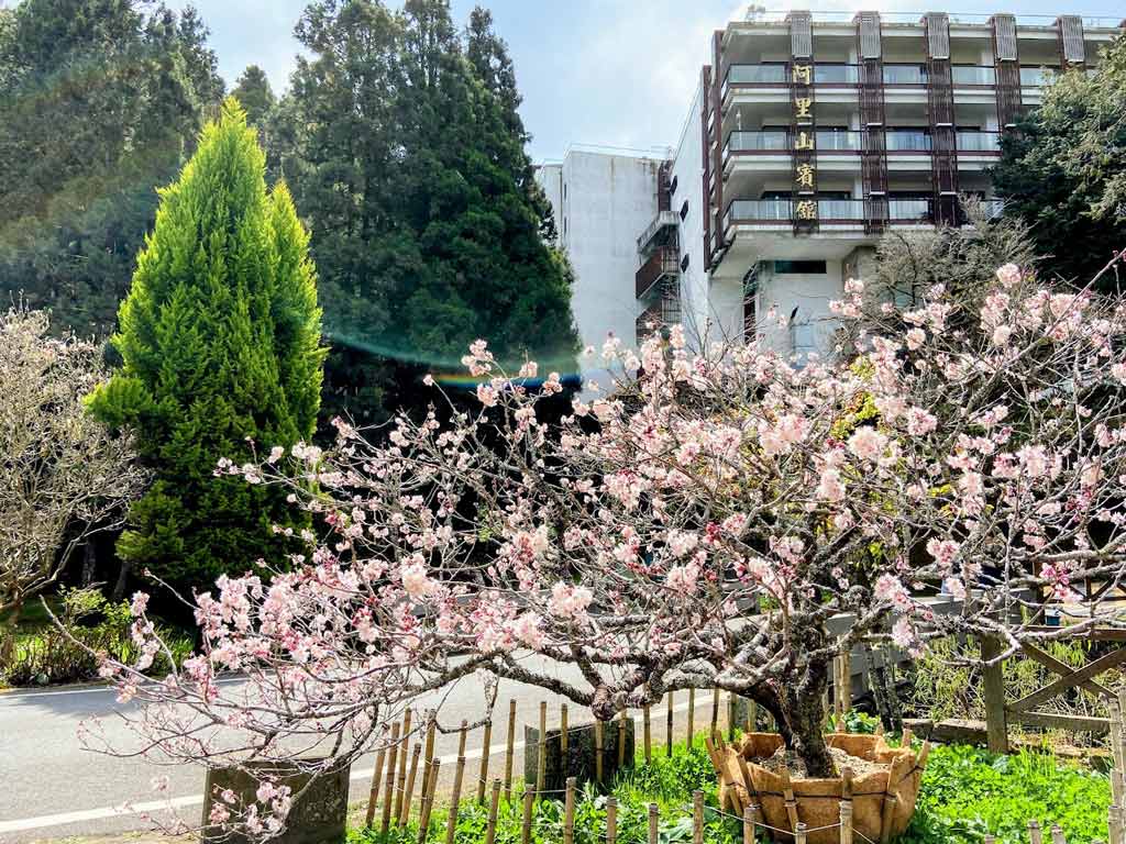 阿里山賓館